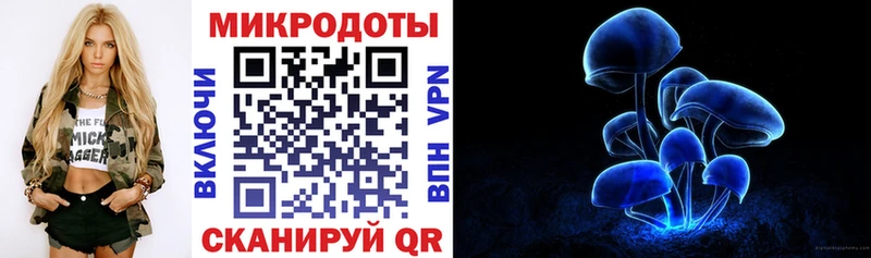 Галлюциногенные грибы мицелий  купить закладку  Шилка 